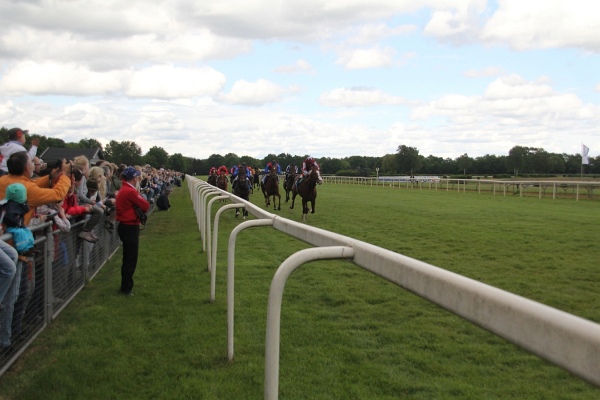 Bult VGH2011   106.jpg